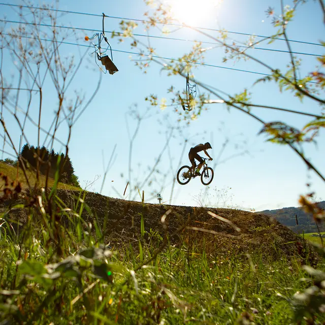 Bike_Park_les_habères