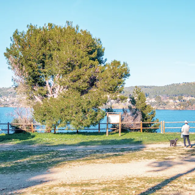 Fossiles & Paléontologie : atelier en famille à Dinosaur'Istres_Istres