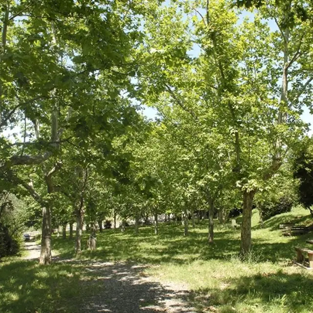 Parc Méditerranéen de Conilhères