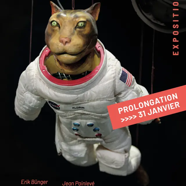 Les animaux, ça vous parle ?_Avignon