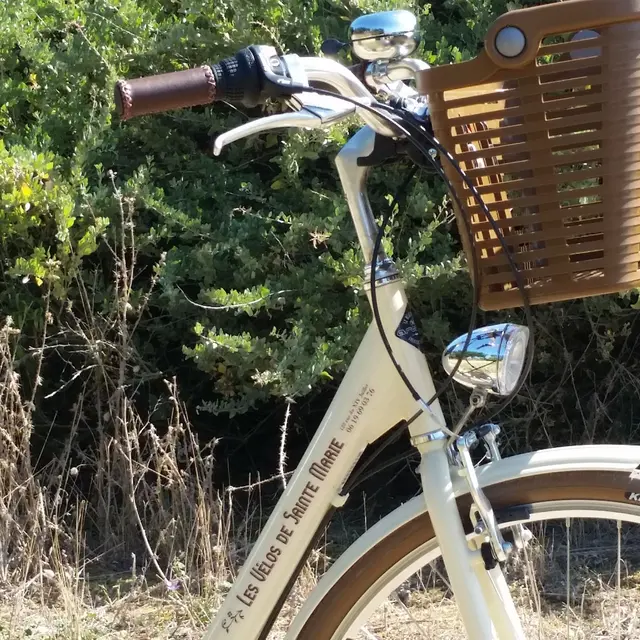 Les Vélos de Sainte-Marie - Gros plan