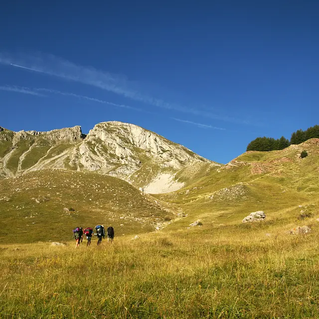 Le col de Clapouse n°31 (A/R)