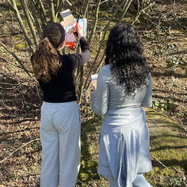 Parcours d'orientation