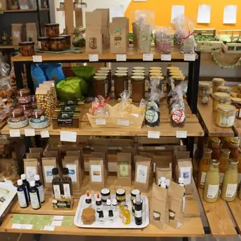 Le cabas d’Olivia_Verdun-sur-Garonne