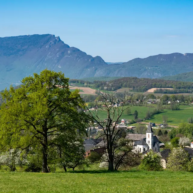 Albanais