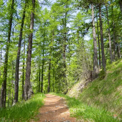 Chemin du garde_Les Orres