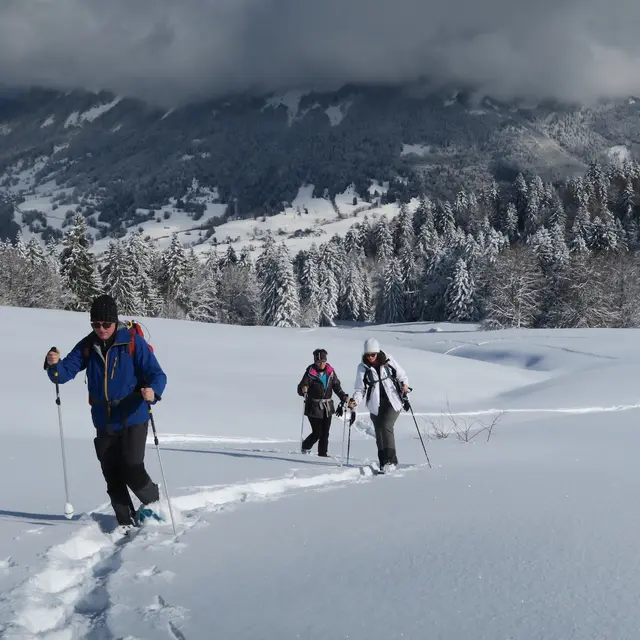 Balade raquettes dynamique La Féclaz et le Revard._La Féclaz