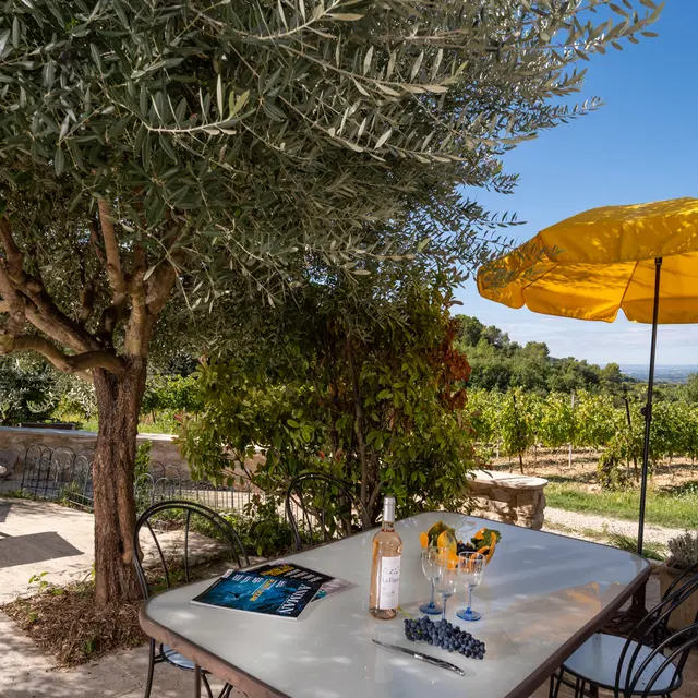 L'Olivier - Mas de Lencieu