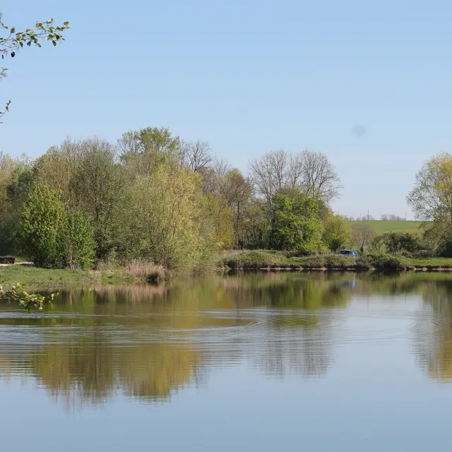 Circuit n°13 - Les chemins des feux folets