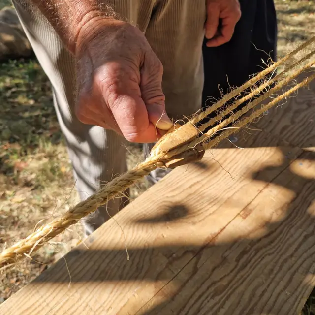 Après-midi authentique_Courtes