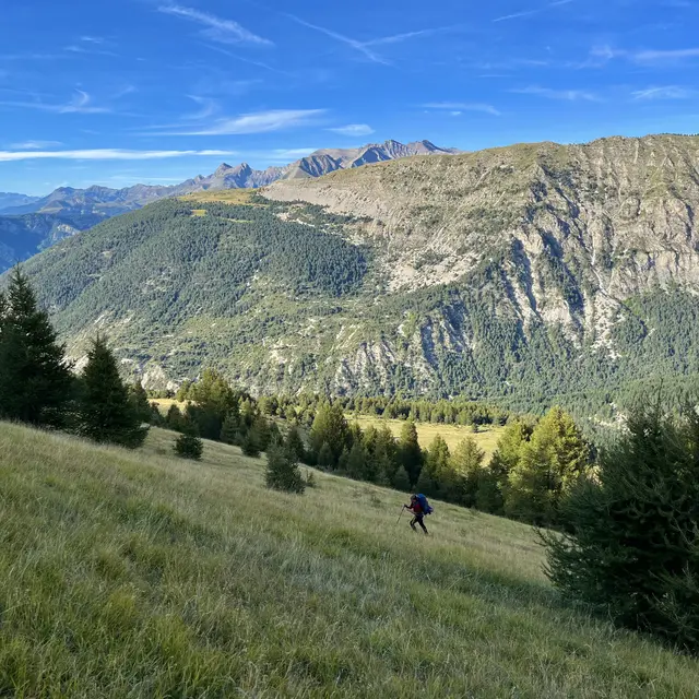 3 Pâturages_Prads-Haute-Bléone