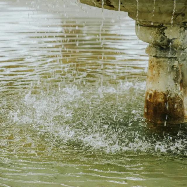 Conférence - Une histoire d’eau et de fontaines en Pays dignois_Digne-les-Bains