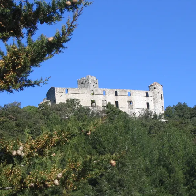 VTT - Entre Châteaux et Vignobles_Anduze