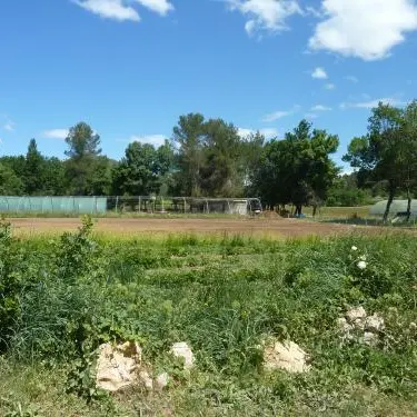Domaine la Grivoisière - La Roquebrussanne