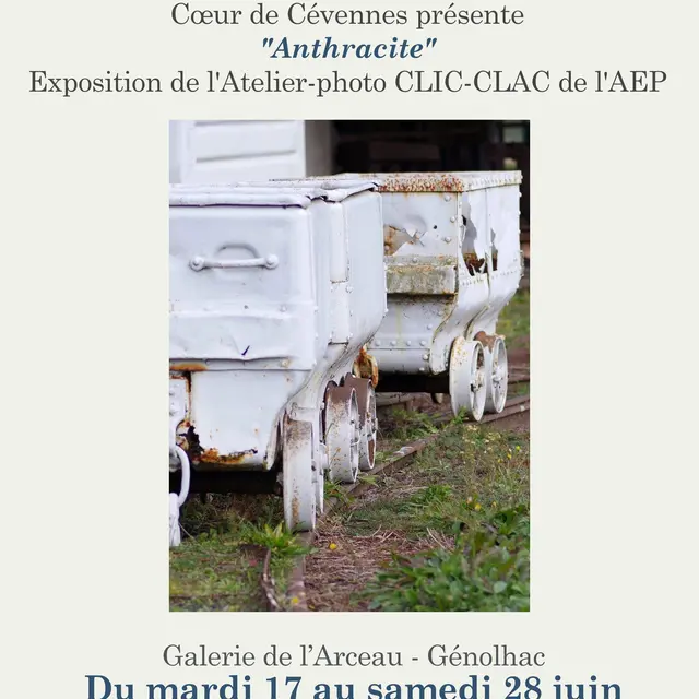 Expo à la Galerie de l'Arceau - Génolhac_Génolhac