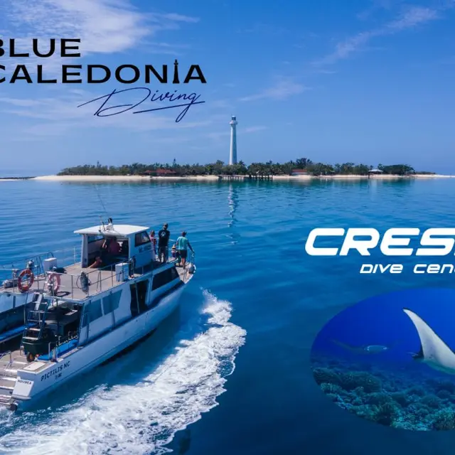 Blue Caledonia Diving