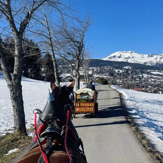 Promenade en calèche