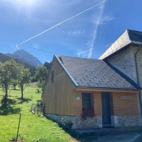 La centaurée