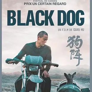 Au cinéma Le Cigalon : BLACK DOG_Cucuron