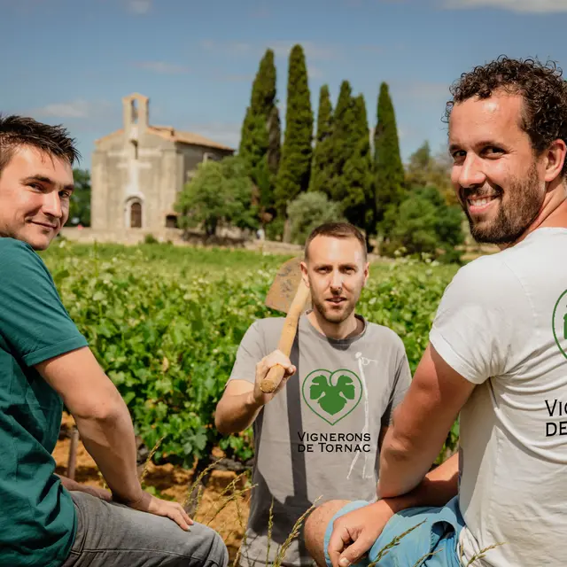 Cave Cooperative Des Vignerons De Tornac - TORNAC