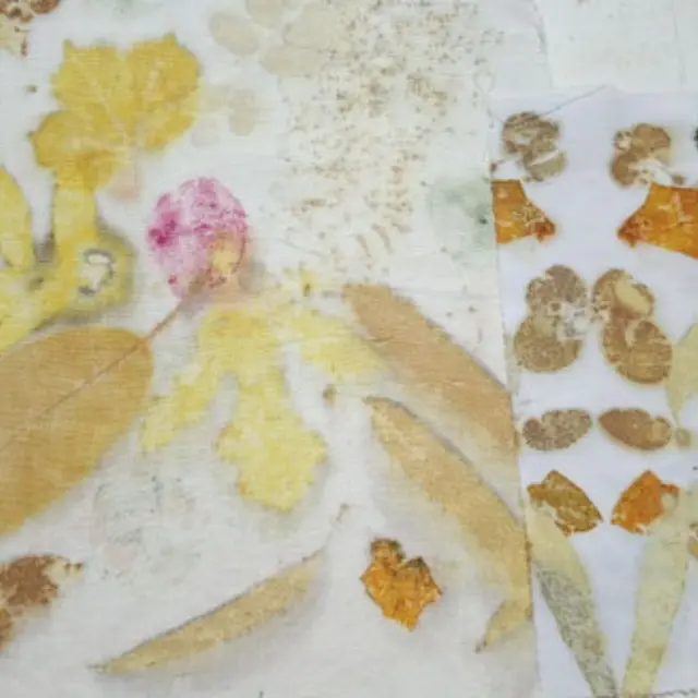 Stage de teinture végétale éco print_Essertines-en-Donzy