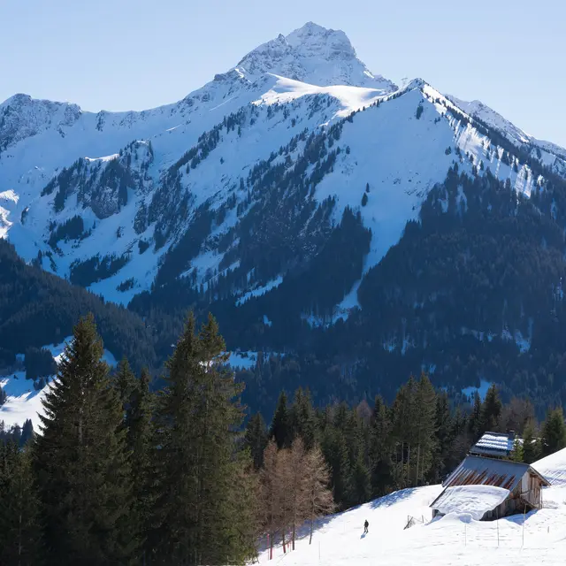Vue sur le Mont de Grange secteur Braitaz