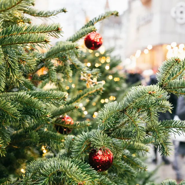 Marché de Noël_Minzier