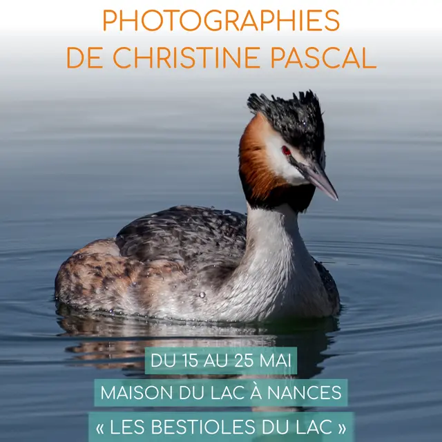 Exposition photo Les bestioles du lac_Nances