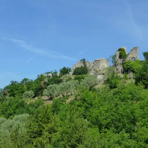 Les ruines de Lagremuse_Le Chaffaut-Saint-Jurson