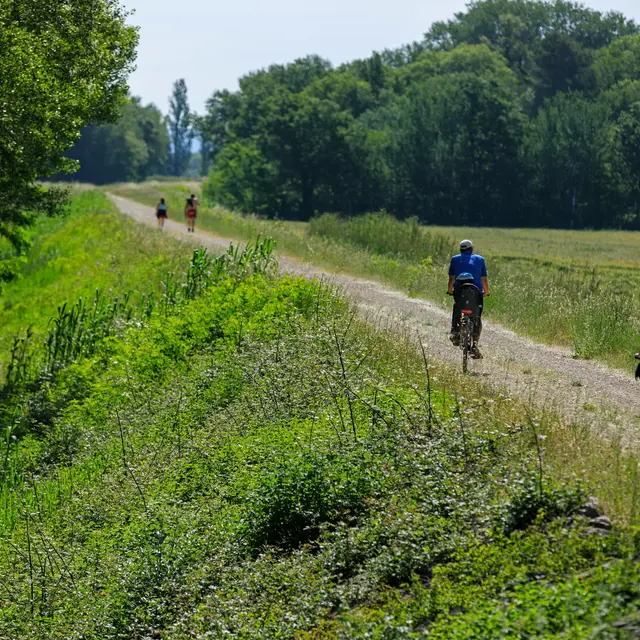 Tronçon Mallemort - La Roque d'Anthéron _Mallemort