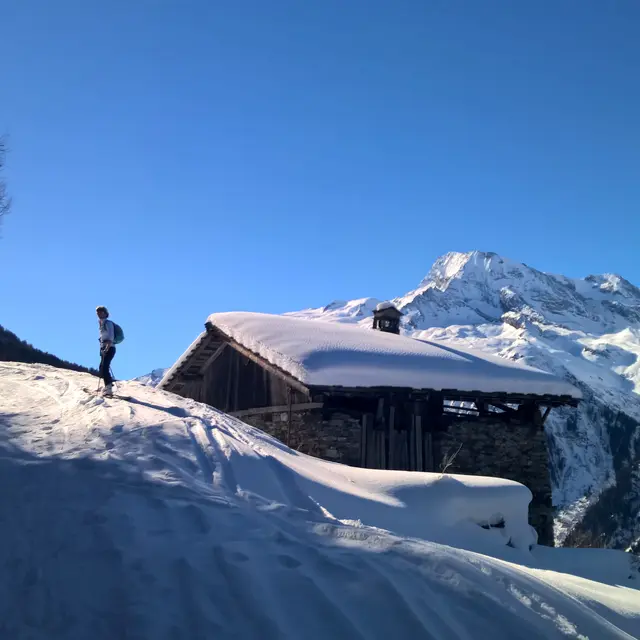 Ski de randonnée