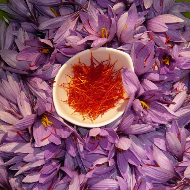 Le jardin de simple du Limonet_Viuz-en-Sallaz