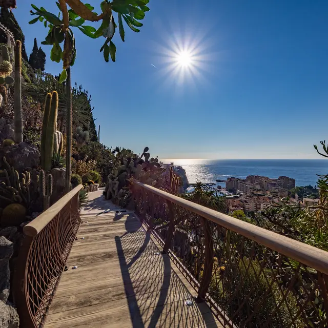 Monaco : de la nature à la mer_Monaco