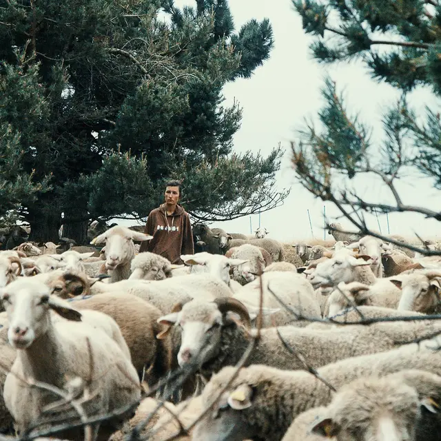 Ciné nature : Une journée, un berger_Chambéry