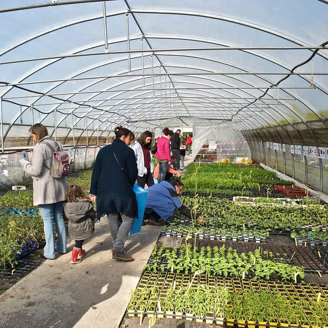 Vente de plants bio_Saint-Just Saint-Rambert