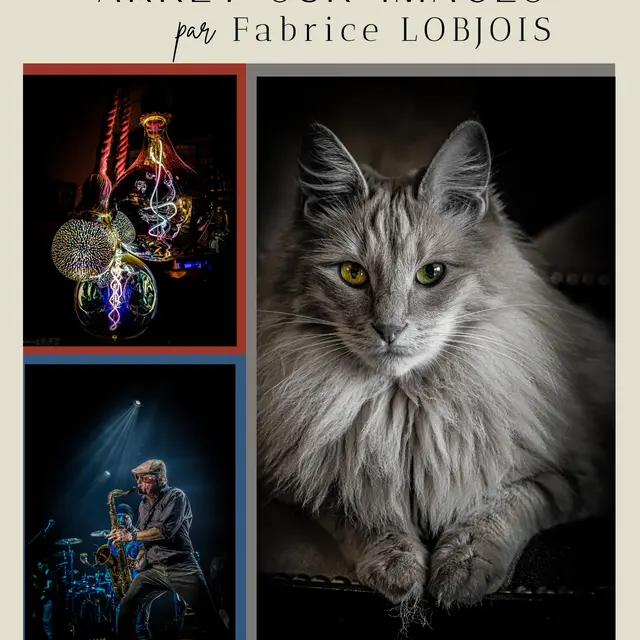 Exposition - Arrêt sur images_Montauban