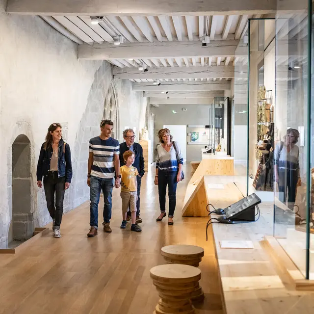 Visite guidée - Le Musée Savoisien_Chambéry