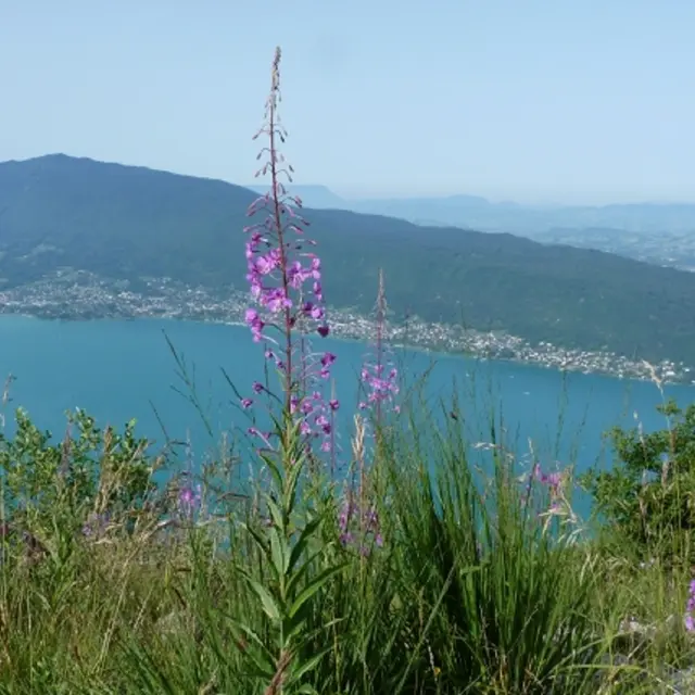 Tour du lac d'Annecy etape 06