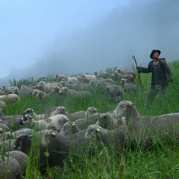 Cinéma en plein air : Bergers de Sophie Deraspe_Saint-Alban-d'Hurtières