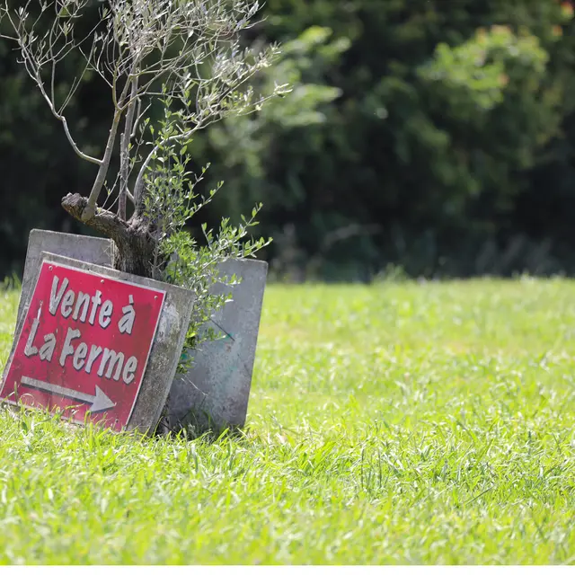 Le Jardin de Masset_Sarrians