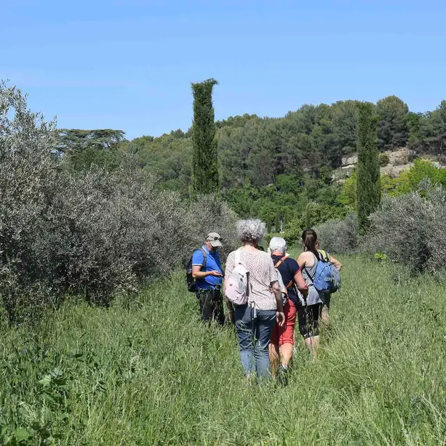 Rando Gourmande - Huile d'olive