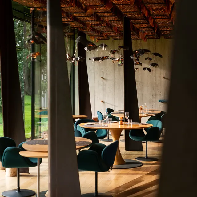 Troisgros - Le Bois sans Feuilles***_Ouches