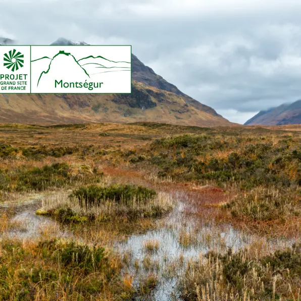 Les tourbières de montagne, archives du climat_Montségur