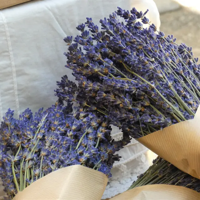 À la découverte des produits locaux provençaux_Sisteron