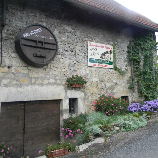 Caveau Domaine des Plantaz