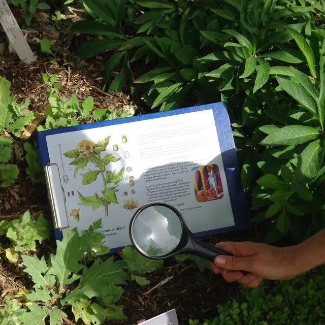 Les mercredis découvertes de Salagon_Mane