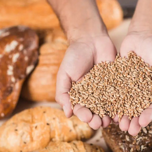 Boulangerie Le petit varennois_Varennes