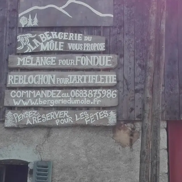 La Bergerie du Môle_Saint-Jean-de-Tholome