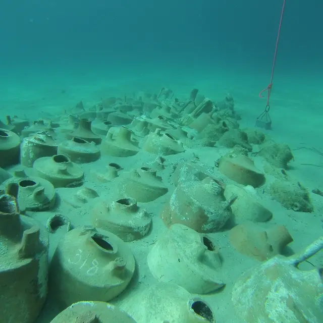 Découverte du sentier sous-marin de la Tour Fondue