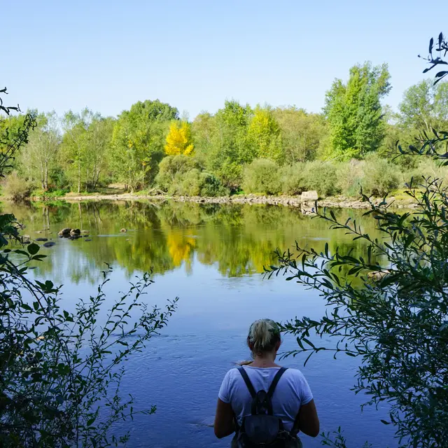 Où se cache le maraudeur?_Saint-Just Saint-Rambert